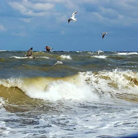 Sea View Penthouse Mamaia